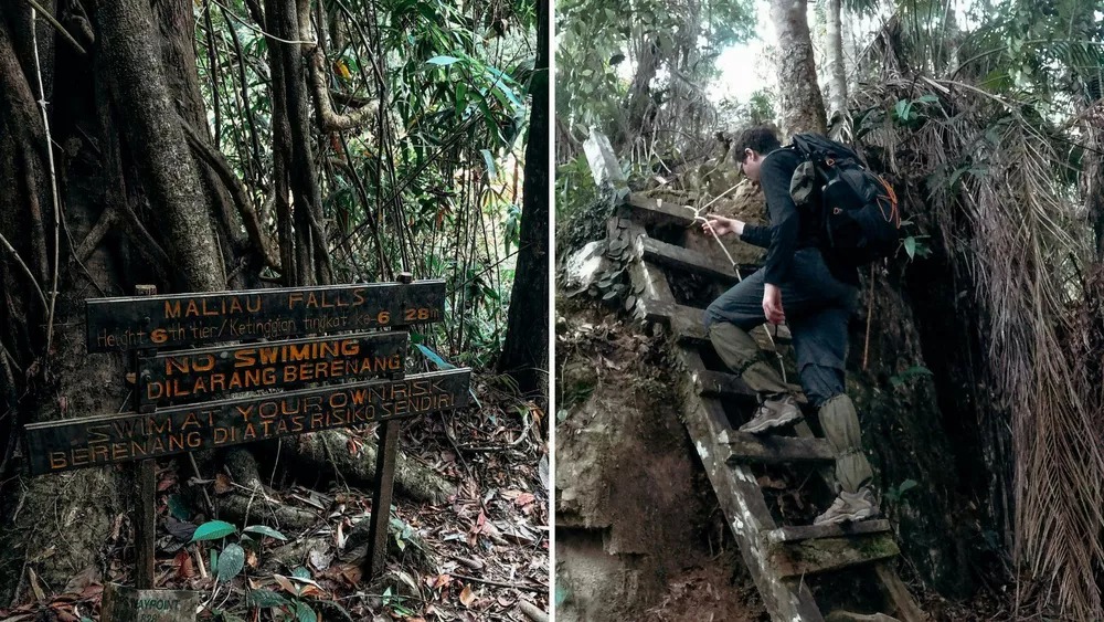 Rope-assisted section near Maliau Falls