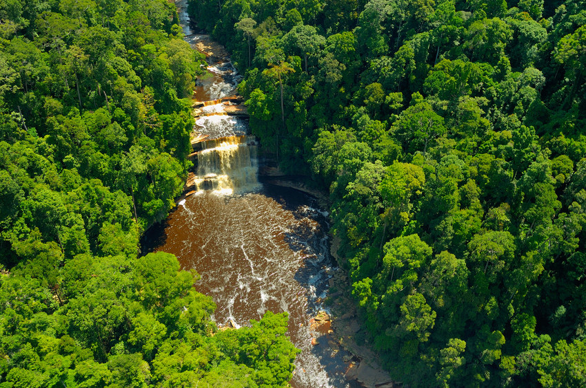The Maliau River draining toward the gorge