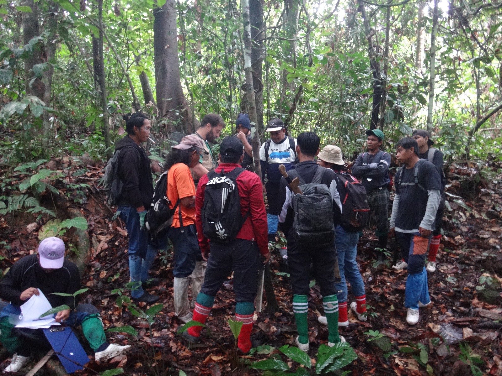 Students recording data on a forest transect