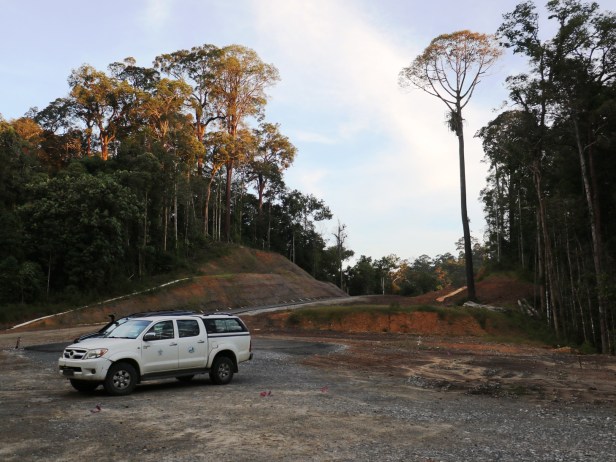 The steep ascent out of Agathis Camp