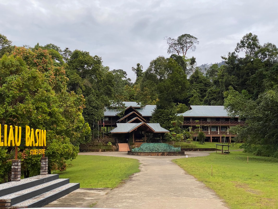 Raised boardwalks at the Studies Centre