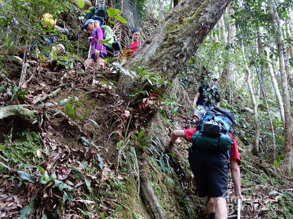 Trekkers on the trail between camps