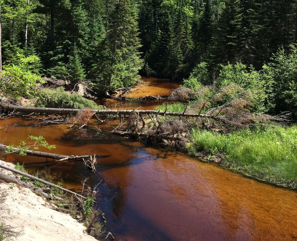 Tea-coloured tannin-stained river water
